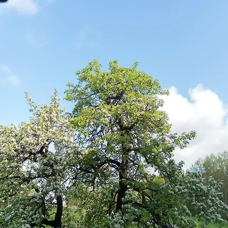 Mit Gartenblick K1 106 דירה *